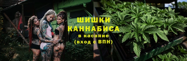apvp Богданович