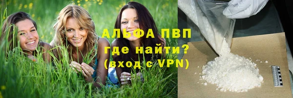 a pvp Белокуриха