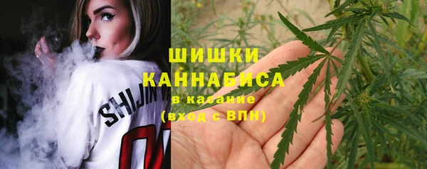 a pvp Белокуриха
